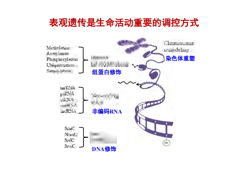 生殖发育表观遗传学【公众微信号：bioworlde】.pdf 第5页