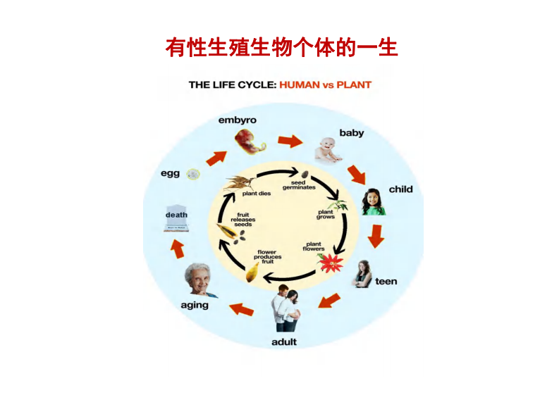 生殖发育表观遗传学【公众微信号：bioworlde】.pdf 第3页