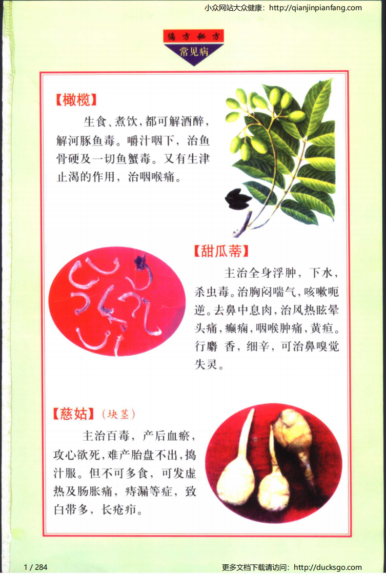 实用偏方秘方经典 - 常见病（张家林）.pdf 第1页