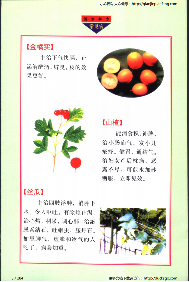 实用偏方秘方经典 - 常见病（张家林）.pdf 第3页