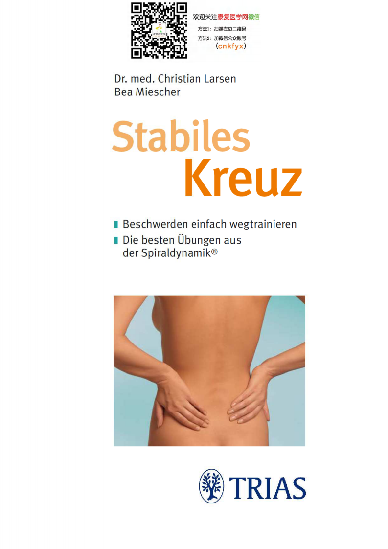 腰-背-痛治疗螺旋动力学.pdf 第3页