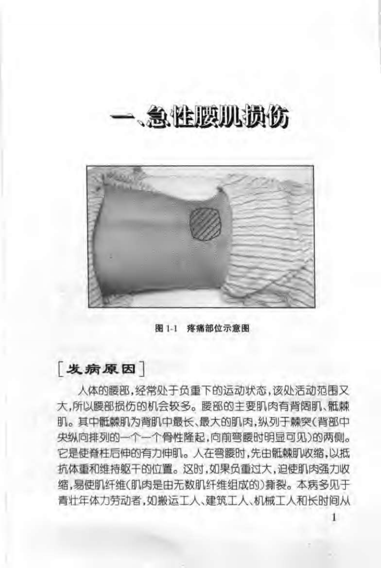 腰腿痛推拿治疗图解（第二版）【王金贵】.pdf 第4页