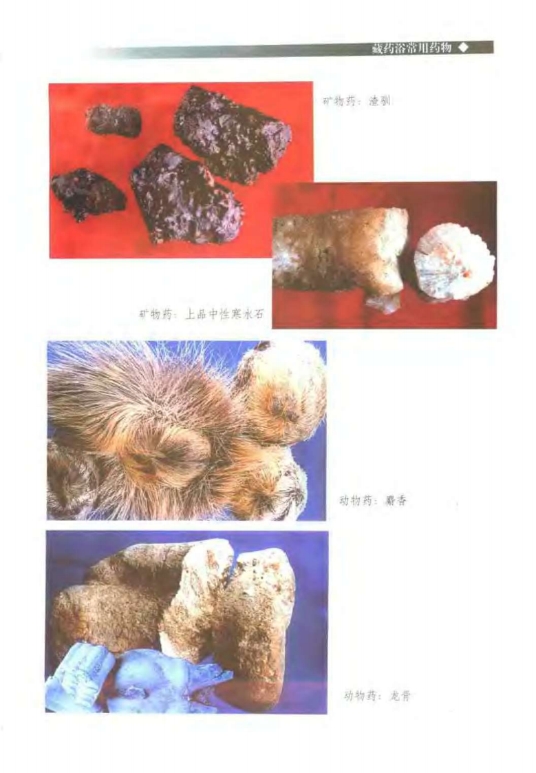 中国藏药浴(黄福开).pdf 第3页