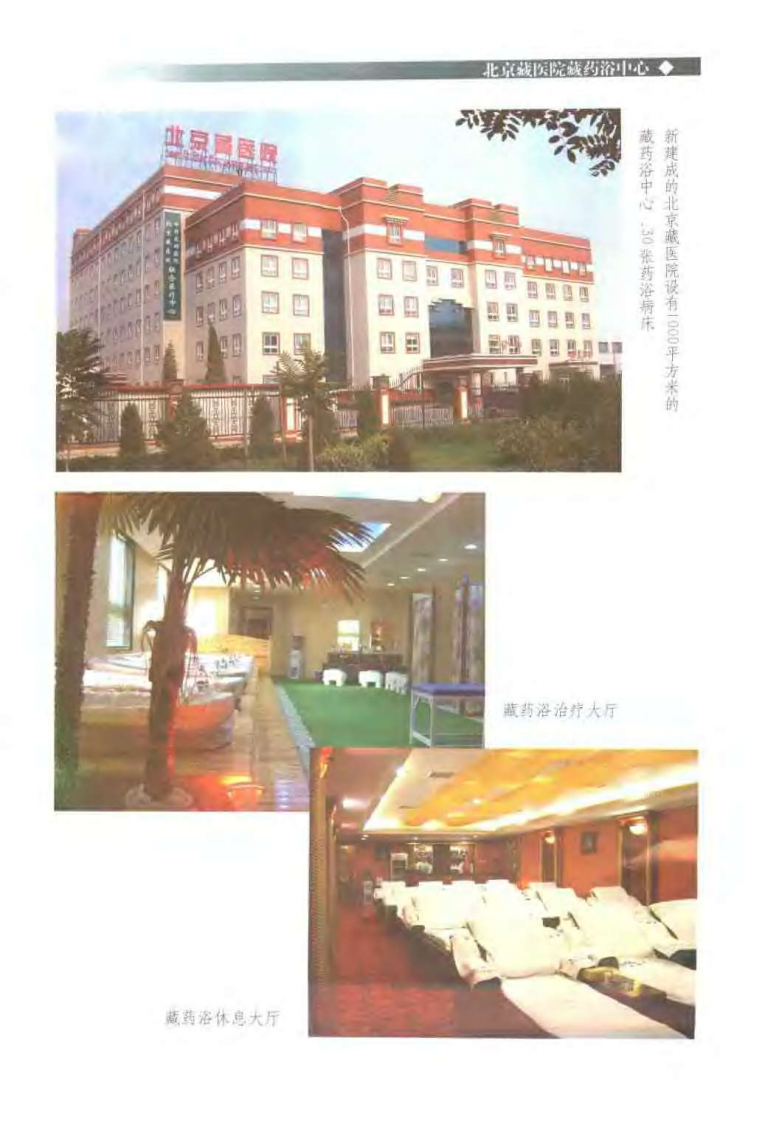 中国藏药浴(黄福开).pdf 第5页