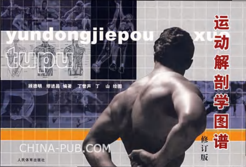 运动解剖学图谱（第2版）.pdf 第1页