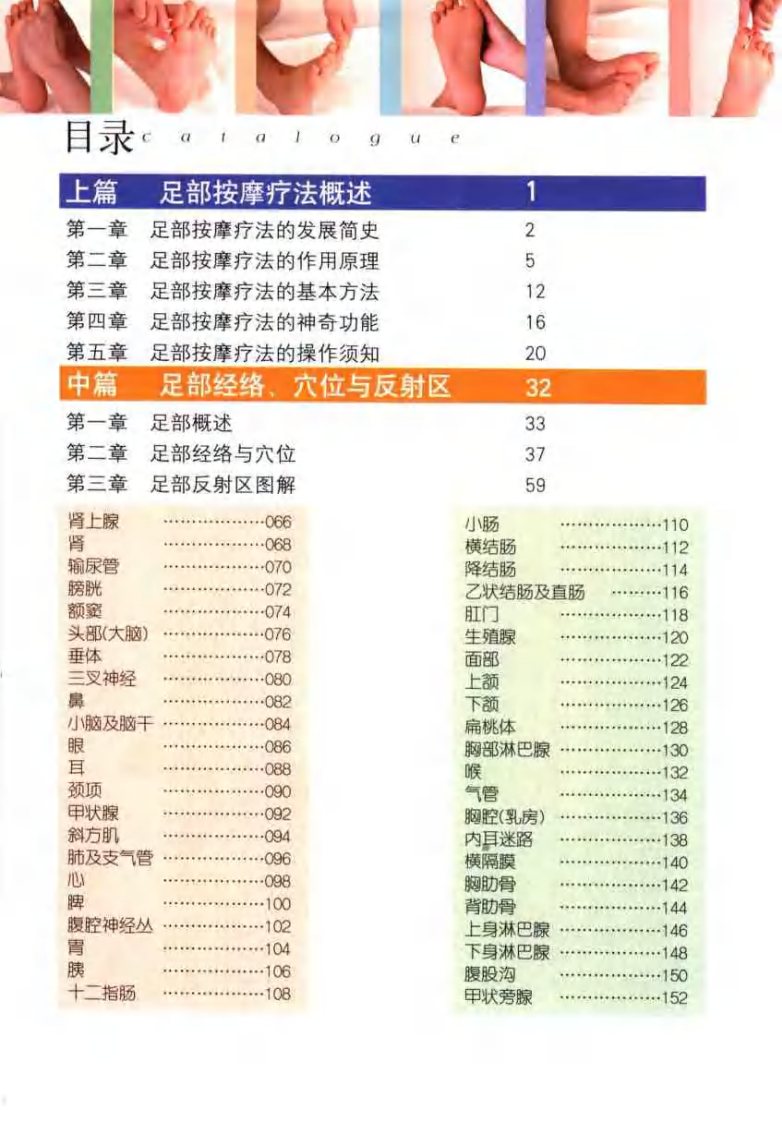 足部按摩大图典（姜颂彭）.pdf 第1页