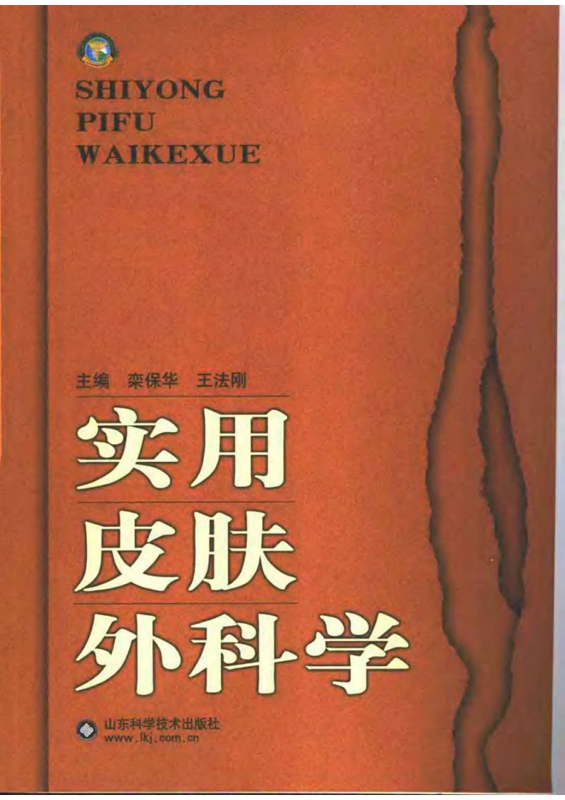 [VISRIS.COM]实用皮肤外科学.[栾保华 王华刚][仅用于学习，禁止作商业用途].pdf 第1页