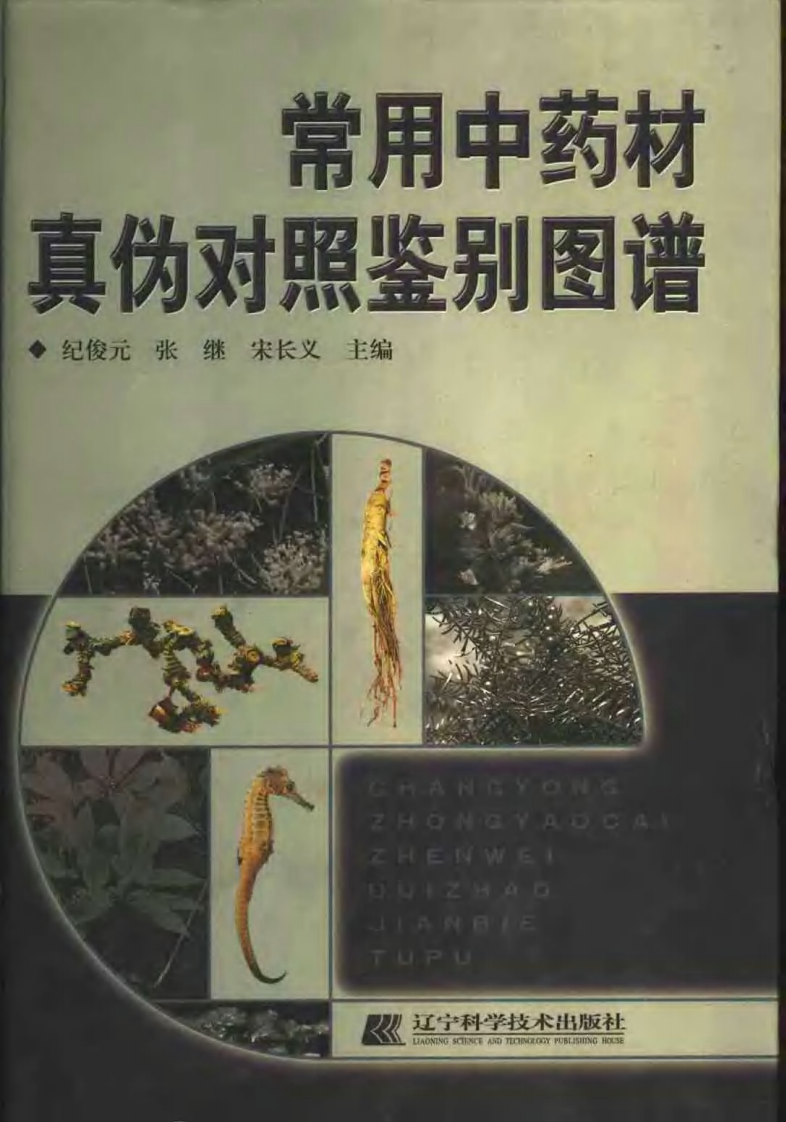 常用中药材真伪对照鉴别图谱（彩图版）.pdf 第1页
