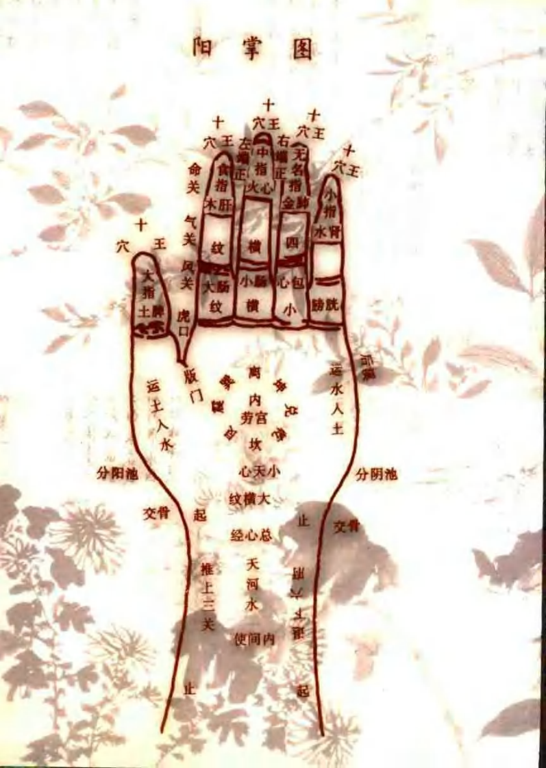 黄帝内经1000问(叶学益).pdf 第2页