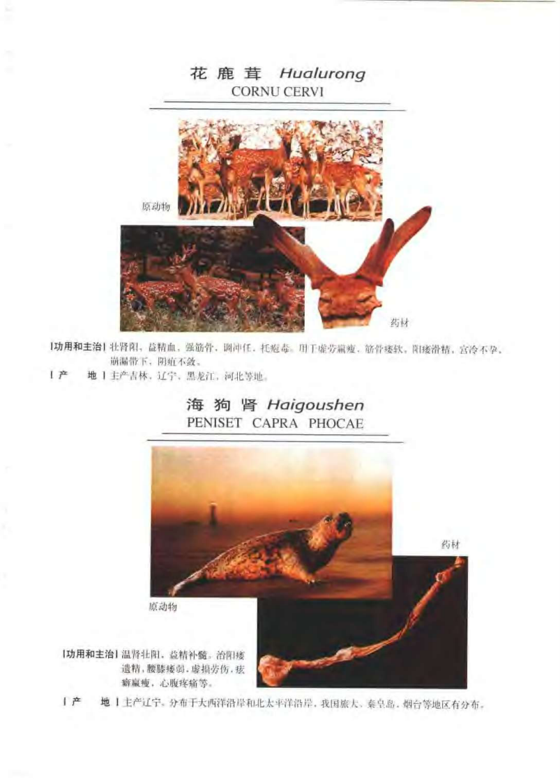 中华天然补品大全（张愈）.pdf 第1页