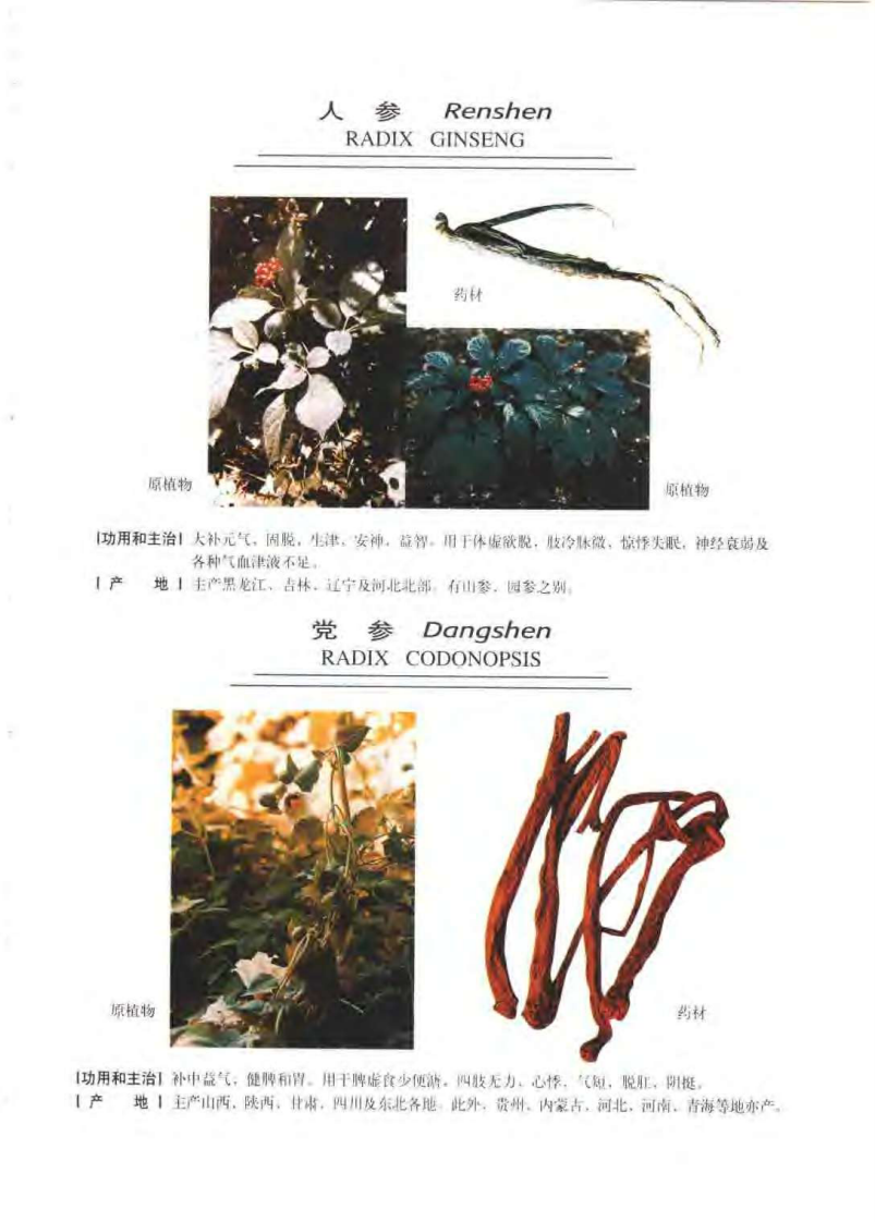 中华天然补品大全（张愈）.pdf 第5页