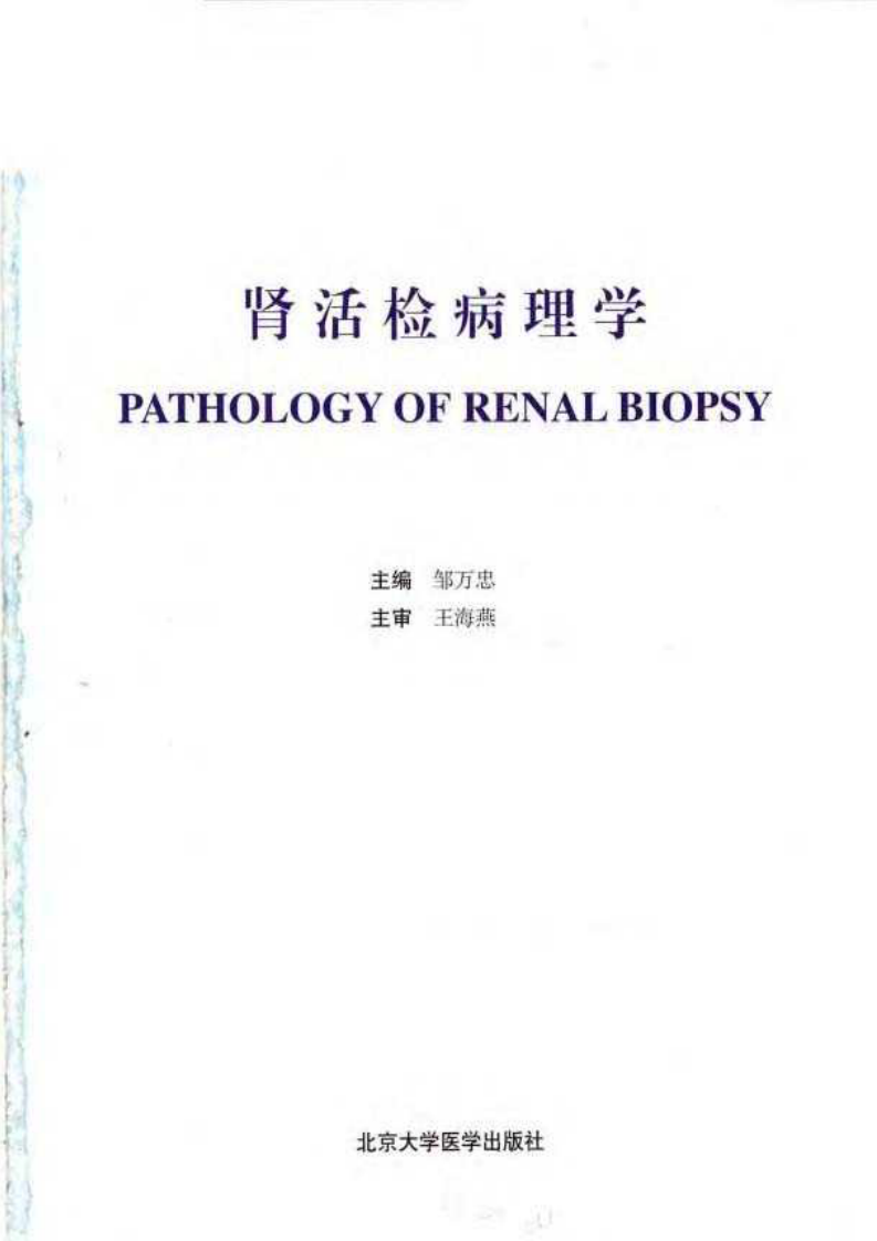 肾活检病理学.pdf 第3页