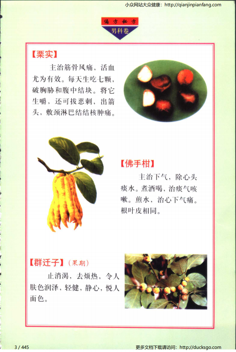 实用偏方秘方经典 - 男科（张家林）.pdf 第3页