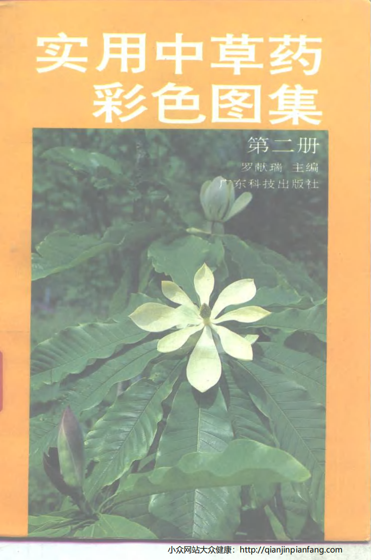 实用中草药彩色图集（第二册）（罗献瑞）.pdf 第1页