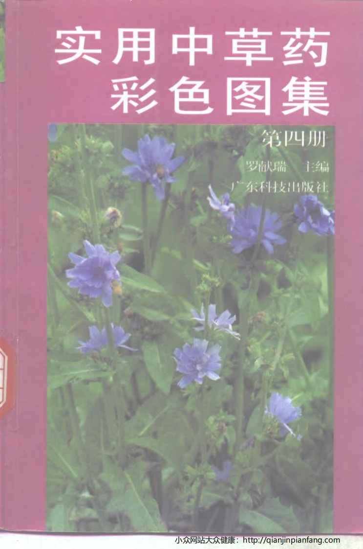 实用中草药彩色图集（第四册）（罗献瑞）.pdf 第1页