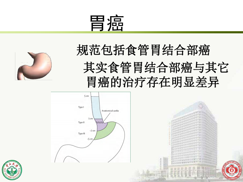 胃肠癌诊治规范与个体化治疗.pdf 第5页