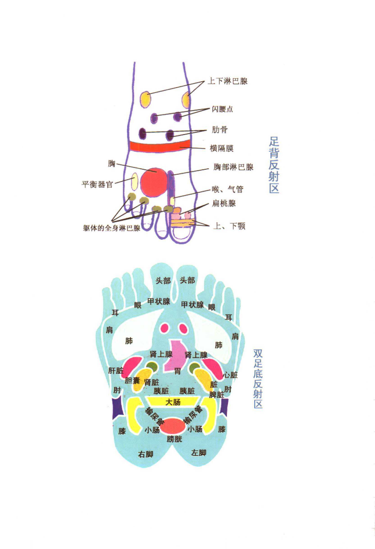 足部推拿按摩（宋一同）.pdf 第4页