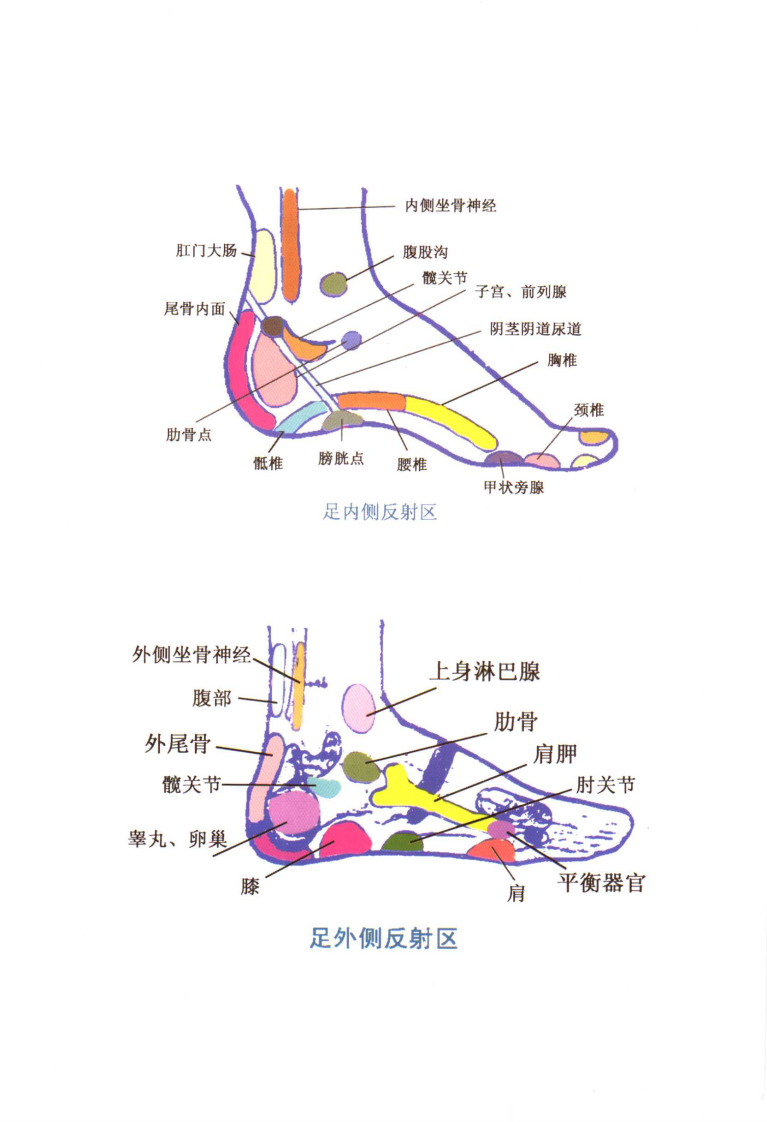 足部推拿按摩（宋一同）.pdf 第3页