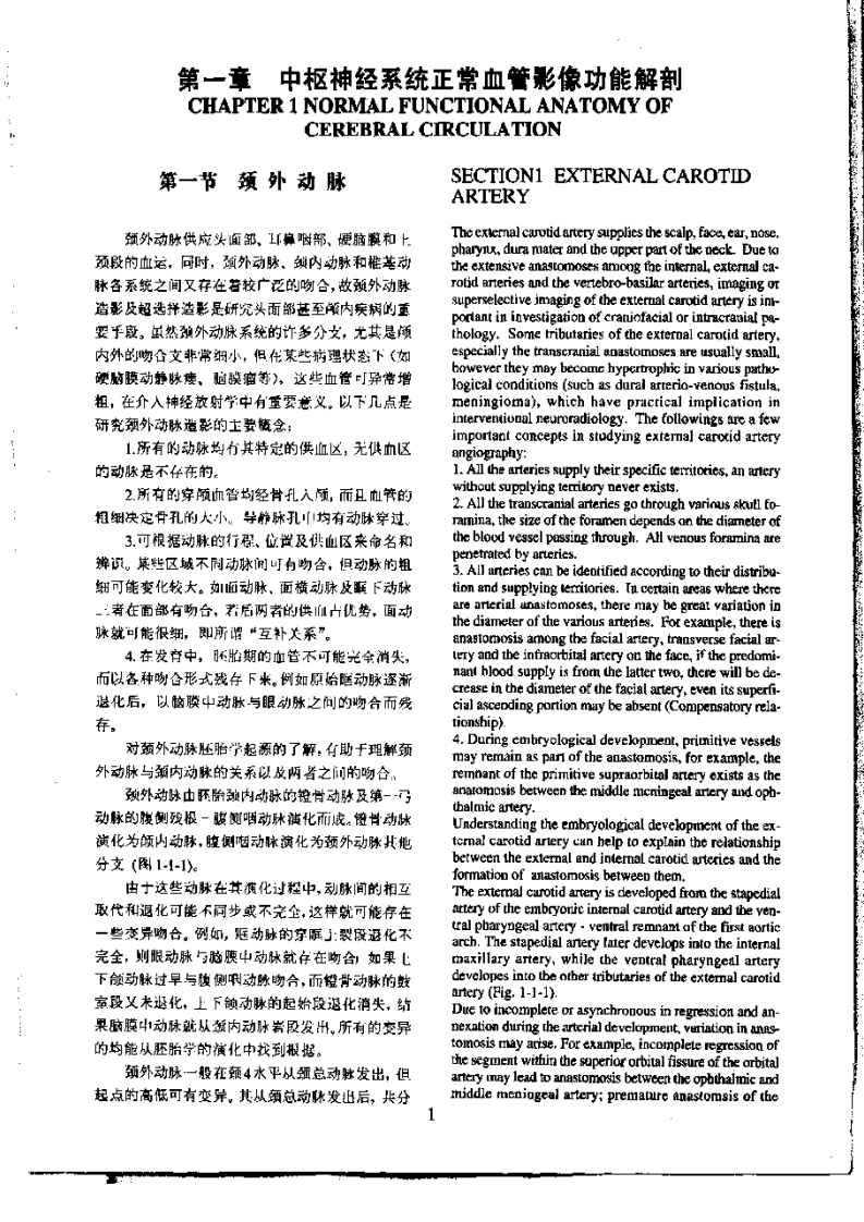 脑血管造影.pdf 第5页