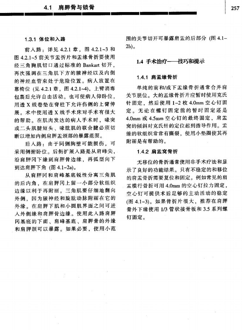 骨折治疗的AO原则（中）（高清版）.pdf 第4页