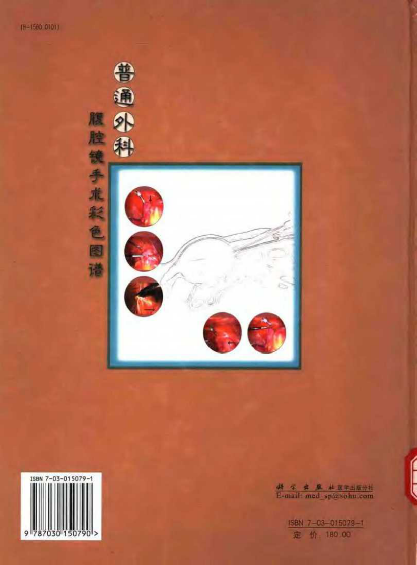 普通外科腹腔镜手术彩色图谱.pdf 第2页