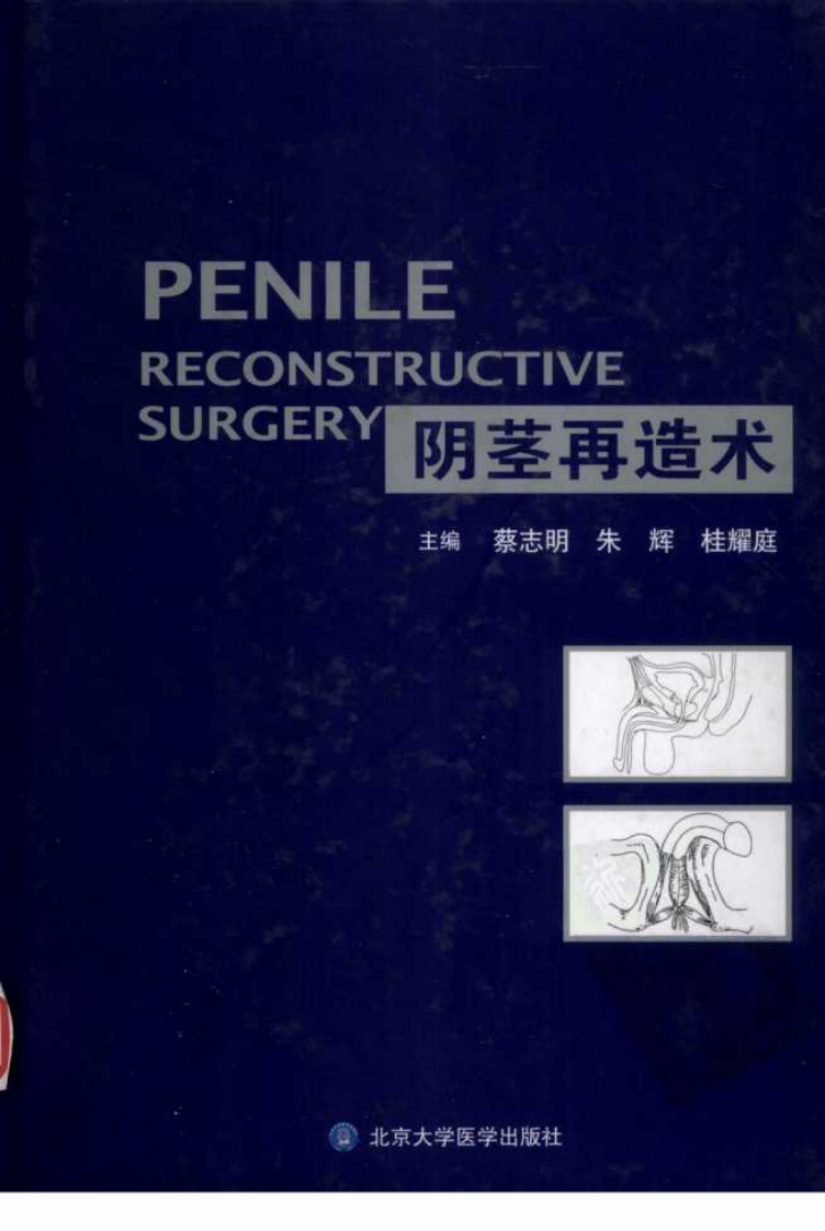 男科器官再造术（高清版）.pdf 第1页
