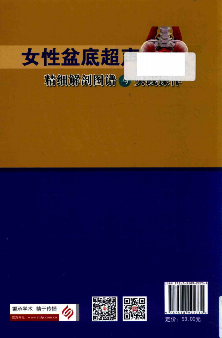 女性盆底超声精细解剖图谱与实践操作_14212177.pdf 第2页