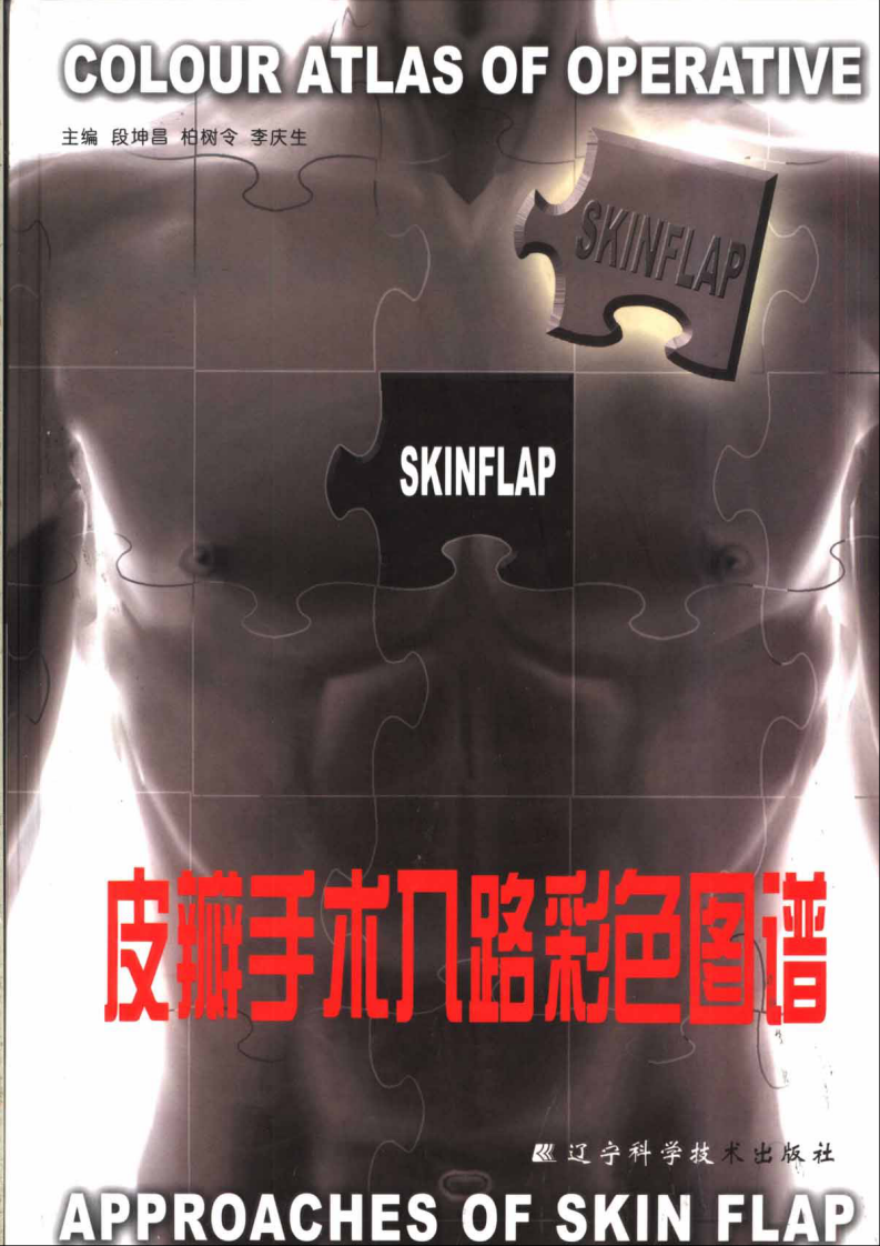 皮瓣手术入路彩色图谱.pdf 第1页