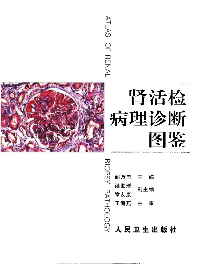 肾活检病理诊断图鉴 (1).pdf 第3页