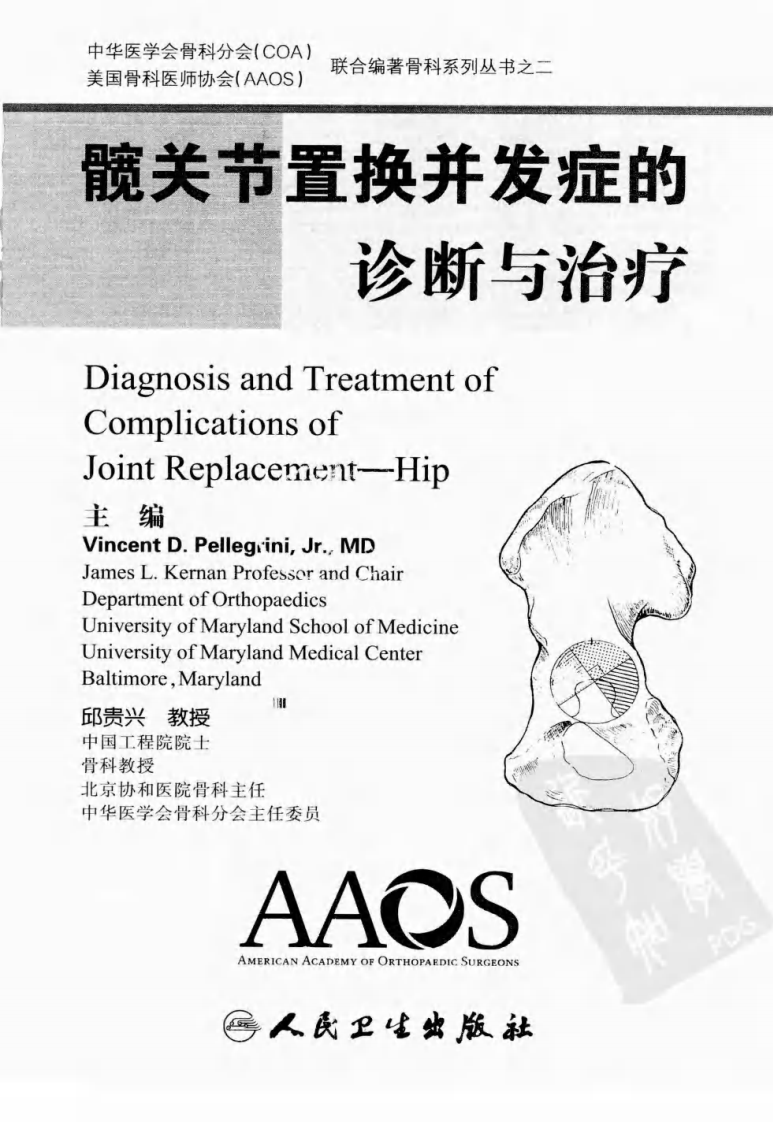 髋关节置换并发症的诊断与治疗.pdf 第3页