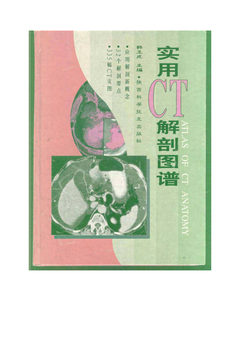 实用CT解剖图谱.pdf 第1页