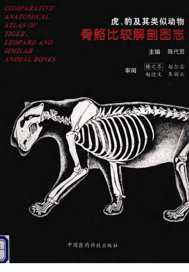 虎、豹及其类似动物骨骼比较解剖图志（陈代贤 主编）.pdf 第1页