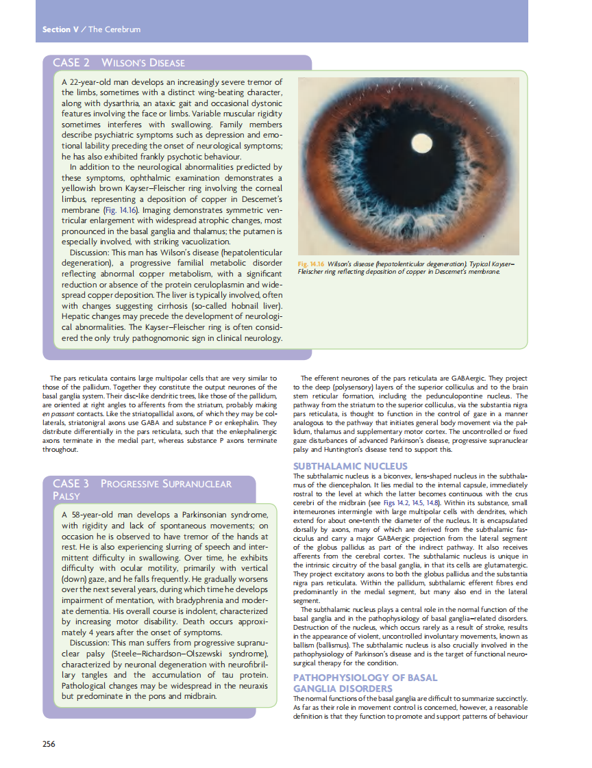 GRAY'S Clinical Neuroanatomy The Anatomic Basis for Clinical Neuroscience_部分11.pdf 第2页
