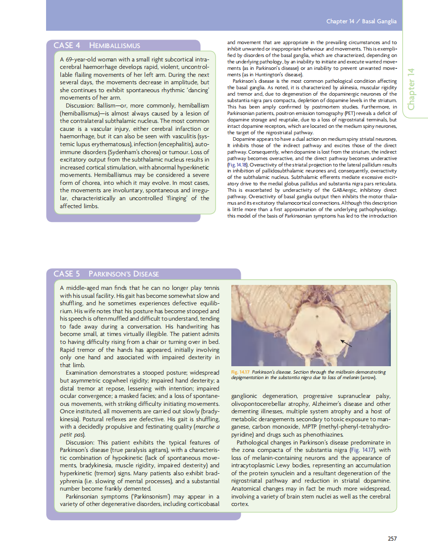GRAY'S Clinical Neuroanatomy The Anatomic Basis for Clinical Neuroscience_部分11.pdf 第3页
