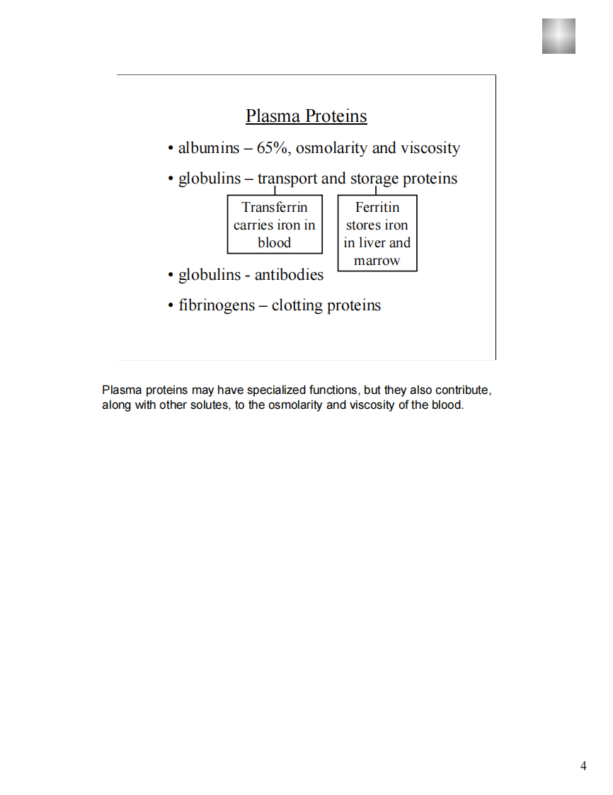 blood-pdf.pdf 第4页