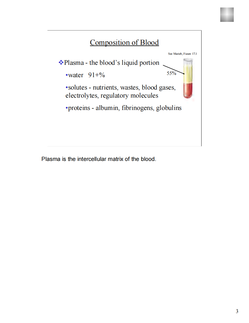 blood-pdf.pdf 第3页