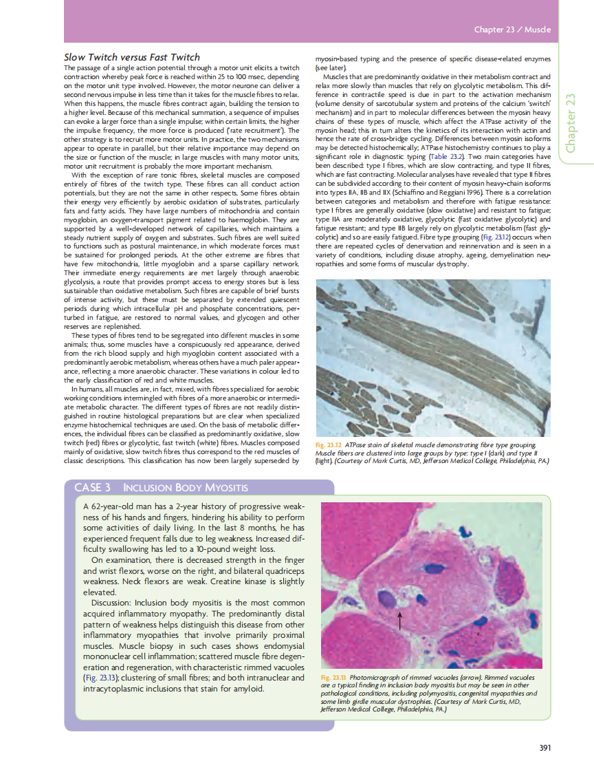 GRAY'S Clinical Neuroanatomy The Anatomic Basis for Clinical Neuroscience_神经解剖.pdf 第1页
