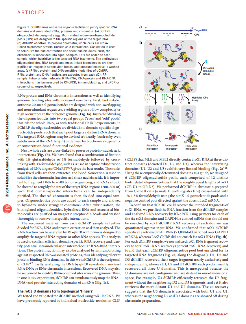 编码RNA Revealing long noncoding RNA architecture and functions using domain-specific chromatin isolation by RNA purification【bioworlde.com】.pdf 第2页