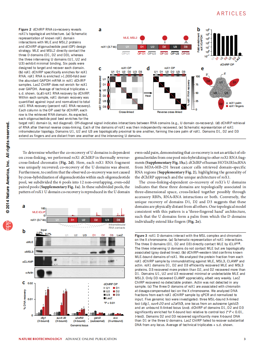 编码RNA Revealing long noncoding RNA architecture and functions using domain-specific chromatin isolation by RNA purification【bioworlde.com】.pdf 第3页