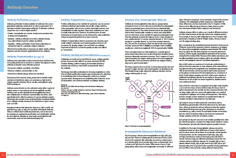 抗体乙肝1601975_AntibodyHB_Version2_INTL[[公众微信号：bioworlde]].pdf 第3页