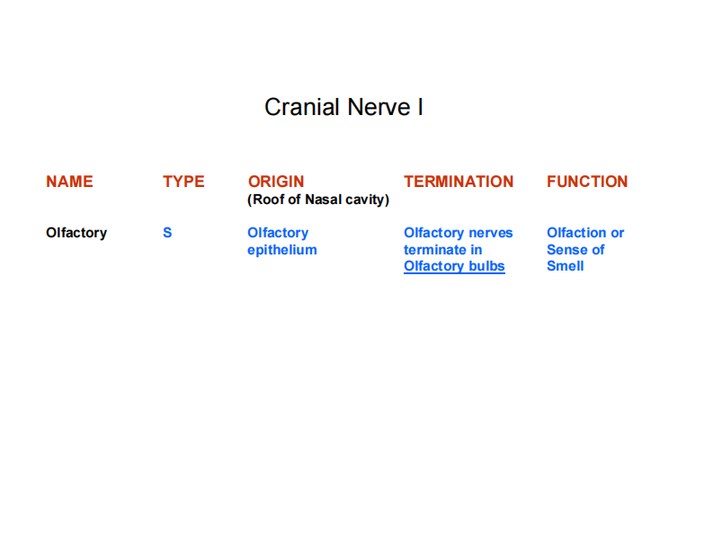 颅内神经Cranial nerves Lecture_2007_web.pdf 第5页