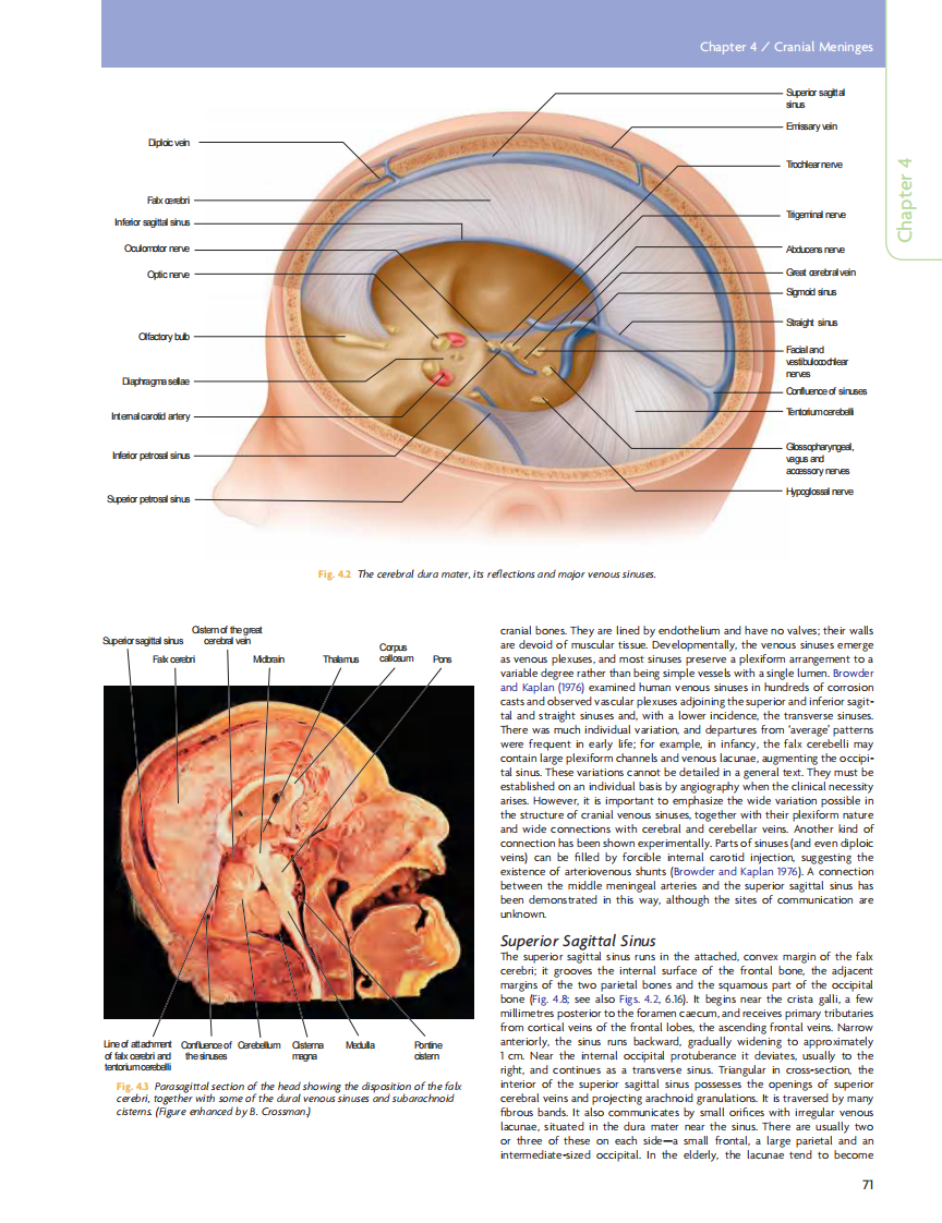 GRAY'S Clinical Neuroanatomy The Anatomic Basis for Clinical Neuroscience_部分4.pdf 第1页