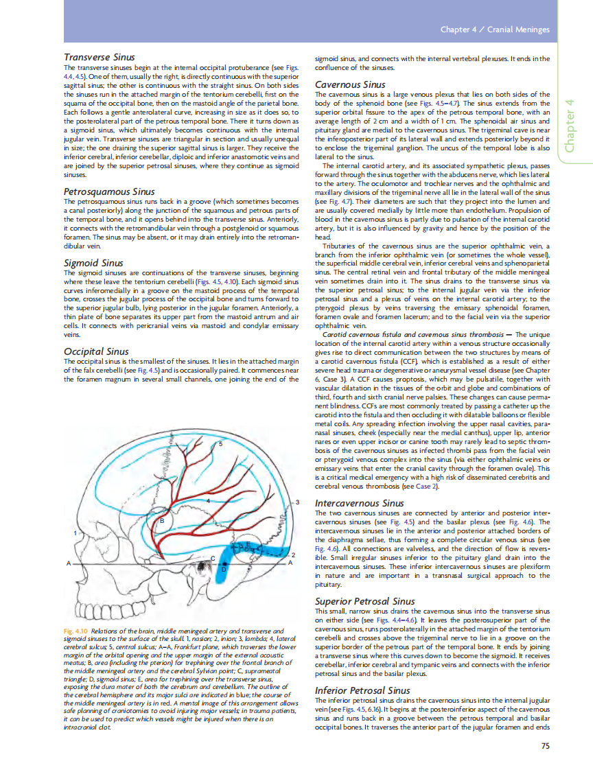 GRAY'S Clinical Neuroanatomy The Anatomic Basis for Clinical Neuroscience_部分4.pdf 第5页