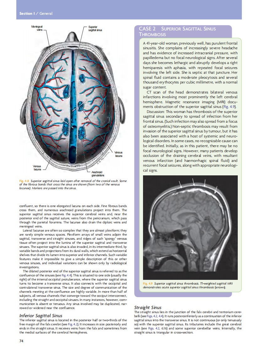 GRAY'S Clinical Neuroanatomy The Anatomic Basis for Clinical Neuroscience_部分4.pdf 第4页