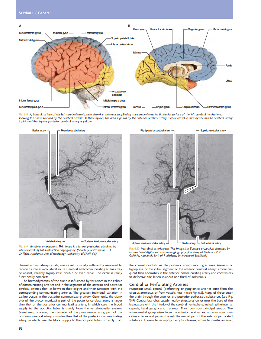 GRAY'S Clinical Neuroanatomy The Anatomic Basis for Clinical Neuroscience_部分5.pdf 第5页