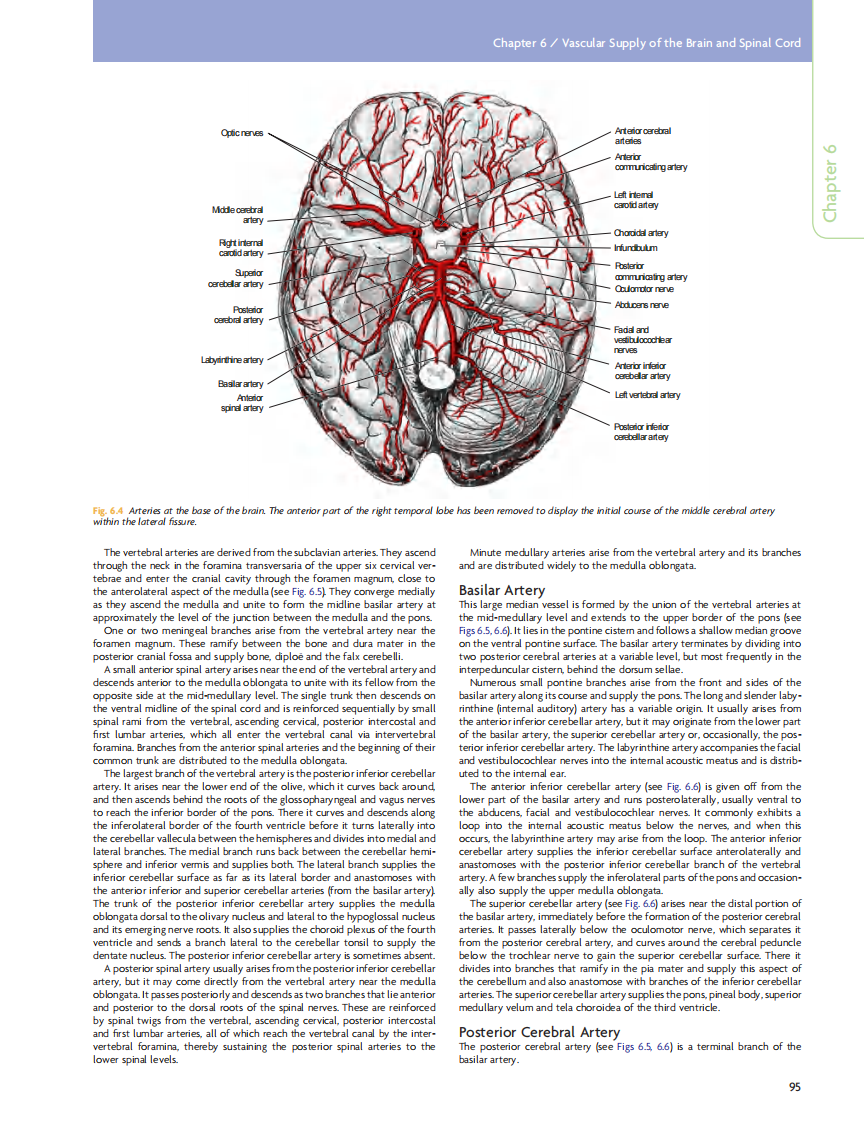 GRAY'S Clinical Neuroanatomy The Anatomic Basis for Clinical Neuroscience_部分5.pdf 第2页