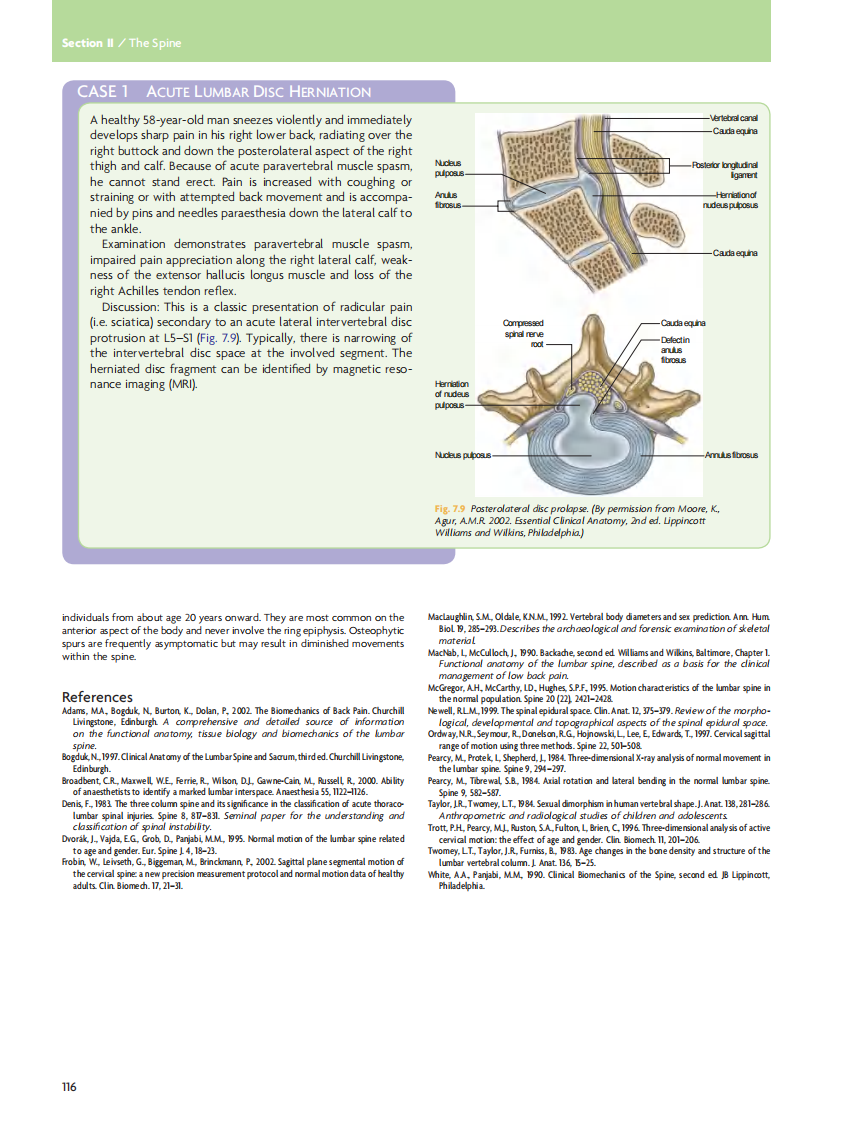 GRAY'S Clinical Neuroanatomy The Anatomic Basis for Clinical Neuroscience_部分6.pdf 第5页