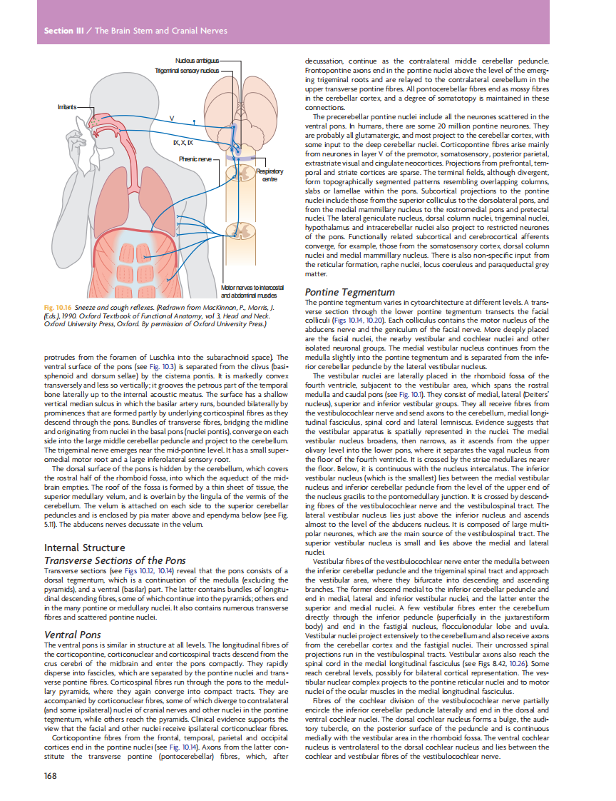 GRAY'S Clinical Neuroanatomy The Anatomic Basis for Clinical Neuroscience_部分8.pdf 第5页