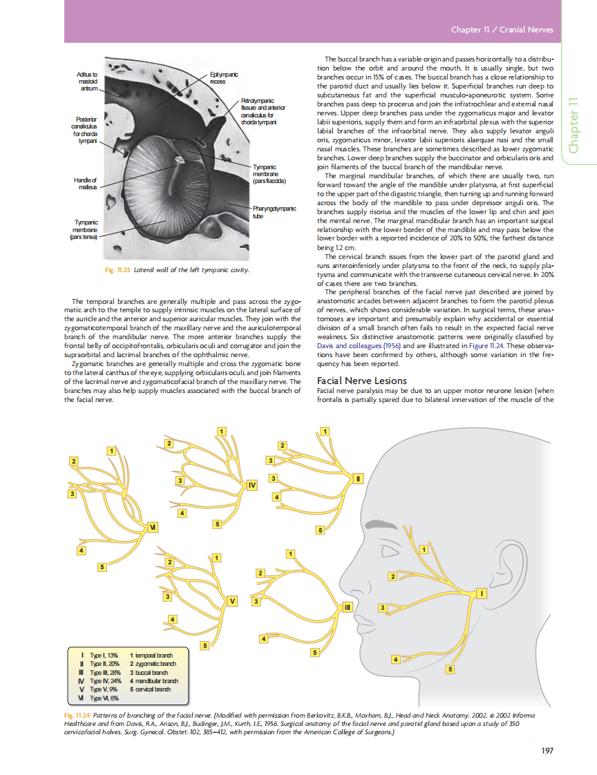 GRAY'S Clinical Neuroanatomy The Anatomic Basis for Clinical Neuroscience_部分9.pdf 第2页