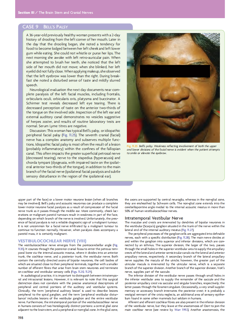 GRAY'S Clinical Neuroanatomy The Anatomic Basis for Clinical Neuroscience_部分9.pdf 第3页